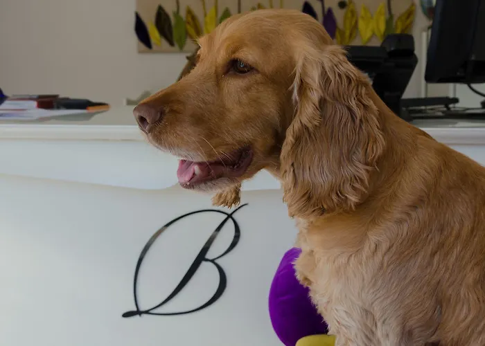 Szálloda Myla Tuzla